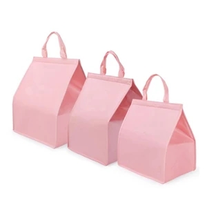 Cooler bag