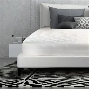 Bed Bug Protective Encasement California King