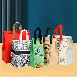 Small Insulated Cooler Grocery Bags