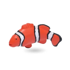 Clown Fish