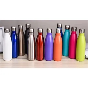 17 oz Stainless Steel Water Bottle