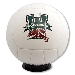 Volleyball - Full